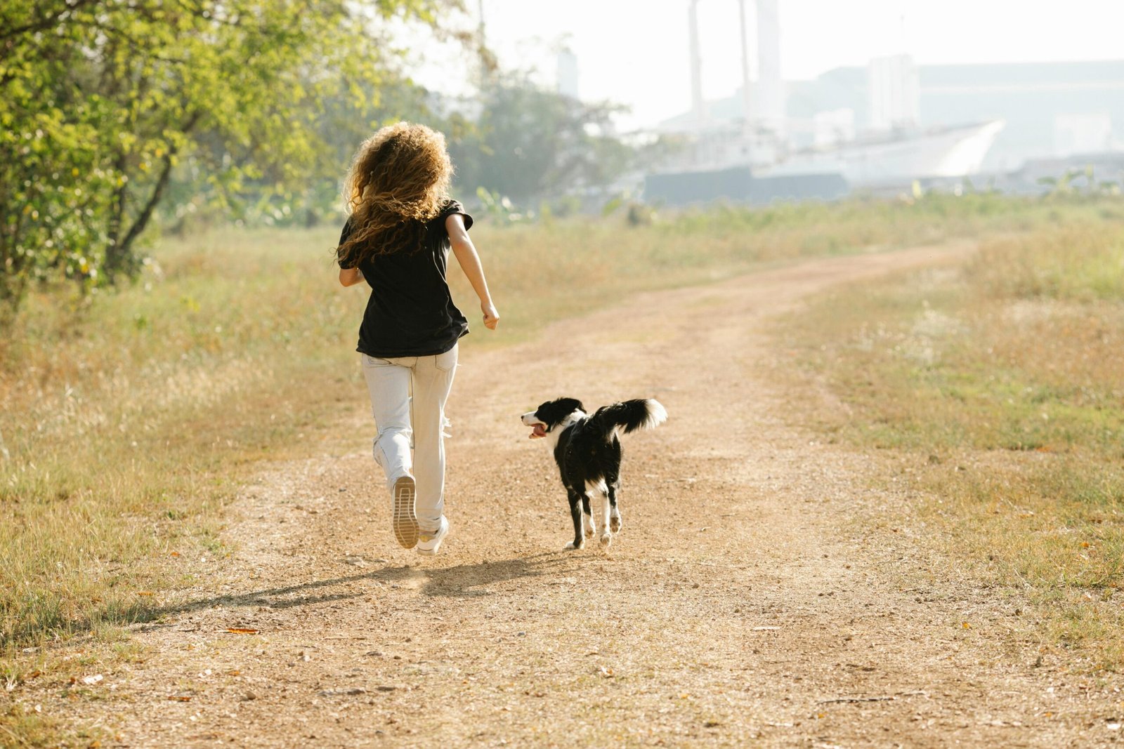 why walking is healthy